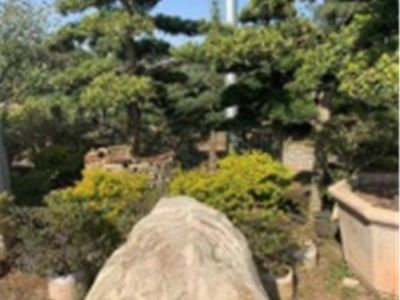 花园改造材料